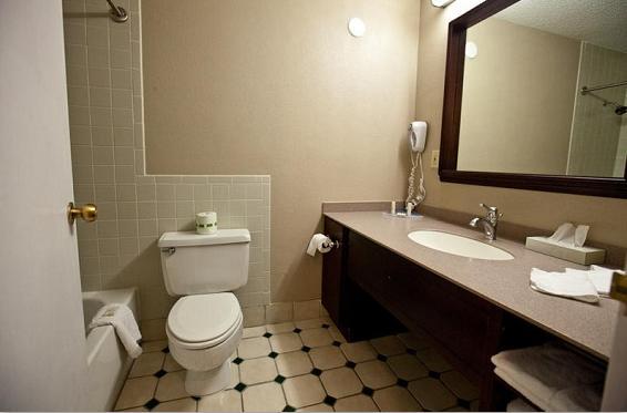 The Atrium Hotel And Conference Center 스프링데일 객실 사진